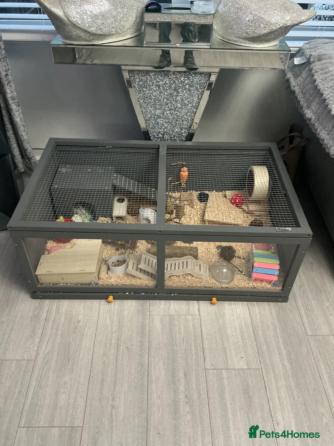 Hamster rodents for sale: Hamster cage or small animal cage need more room  in Sunderland - Advert 2