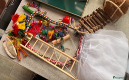 Lovebirds birds for sale: 37” Bird cage and all toy accessories  - Image 2