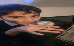 Budgerigars birds for sale: Mixed birds - Advert 7