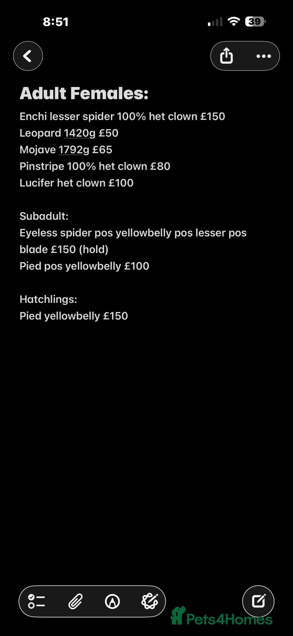 Python Snake reptiles Various Royal Pythons for sale - Advert 1