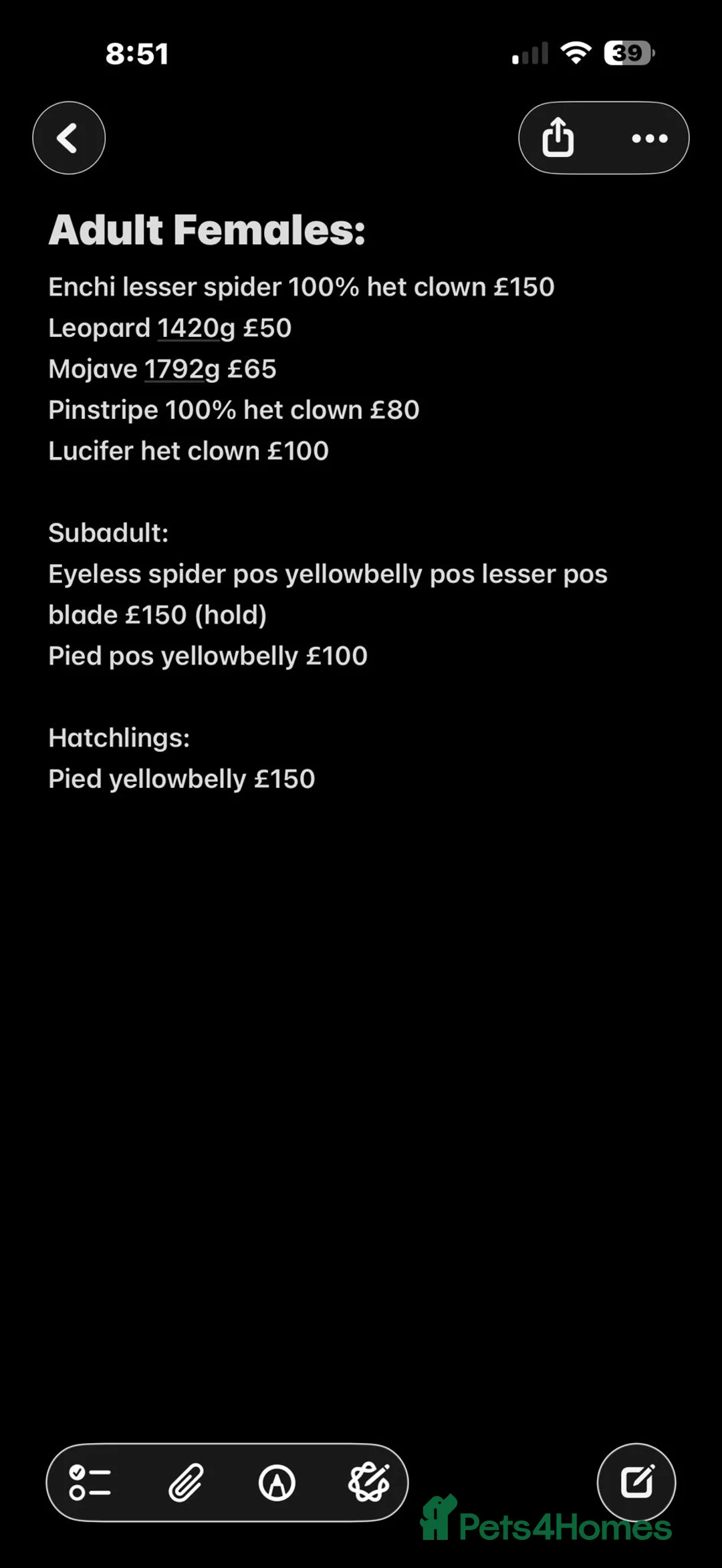 Python Snake reptiles for sale: Various Royal Pythons for sale - Advert 1