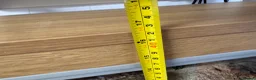 Corn Snake reptiles for sale: Susie beautiful albino corn snake in Worcester - Advert 7
