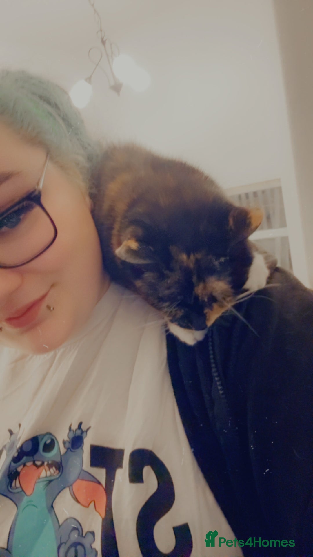 Gallery Image {{count}}