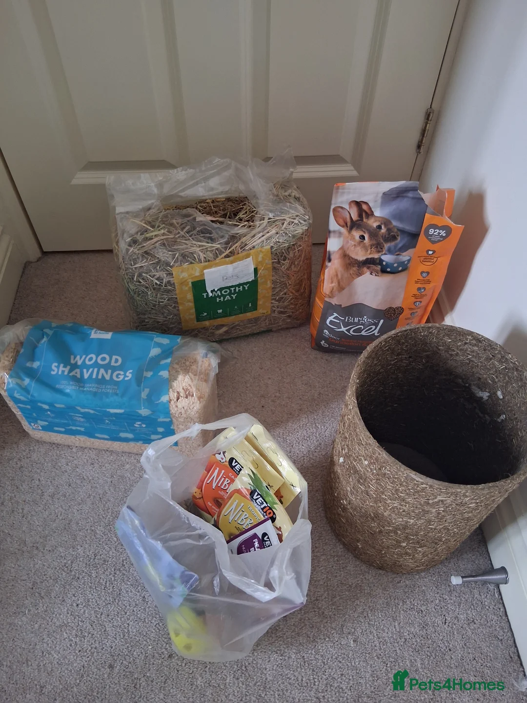 Mixed Breed rabbits for sale: Mini lop/ Lionhead  - Advert 3