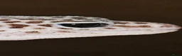 Leopard Gecko reptiles for sale: Mack Snow Eclipse Female Leopard Gecko  - Advert 2