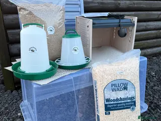 Mixed Breed poultry Chick Rearing Kit - Advert 2