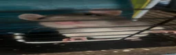 Rat rodents for sale: 2 FEMALE FANCY RATS - Advert 6