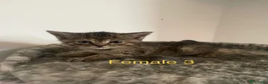 Female 3