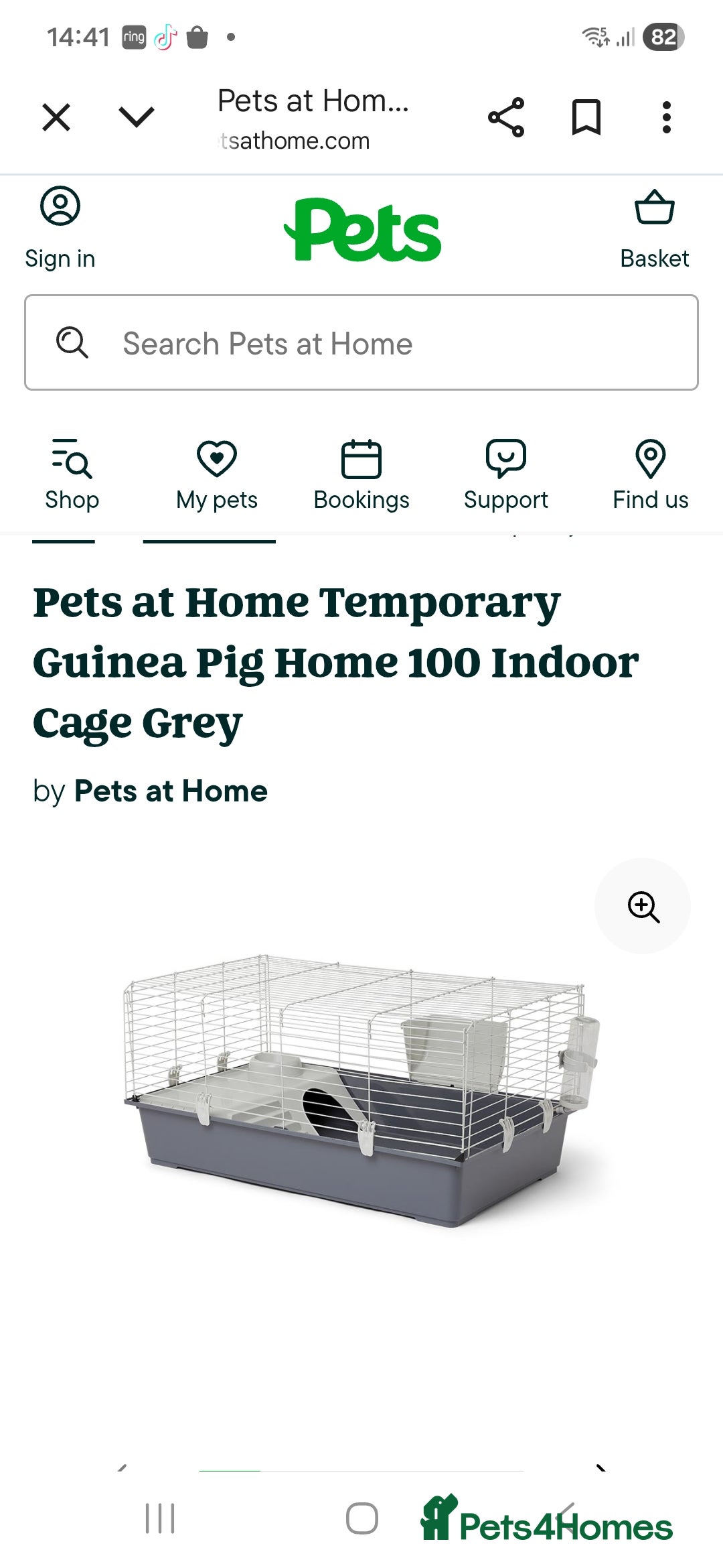 Guinea Pig rodents for sale: 2 male guinea pigs - Image 3