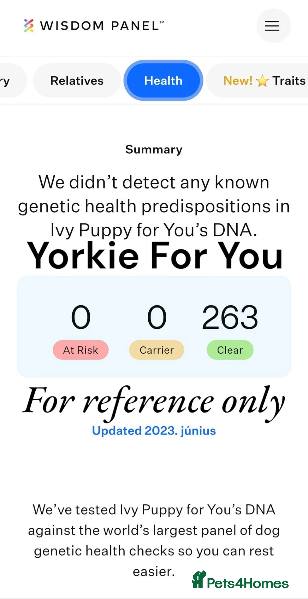Yorkshire Terrier dogs for sale: 🩷 DNA tested 🩷 Biro Yorkshire Terrier Female  - Advert 2
