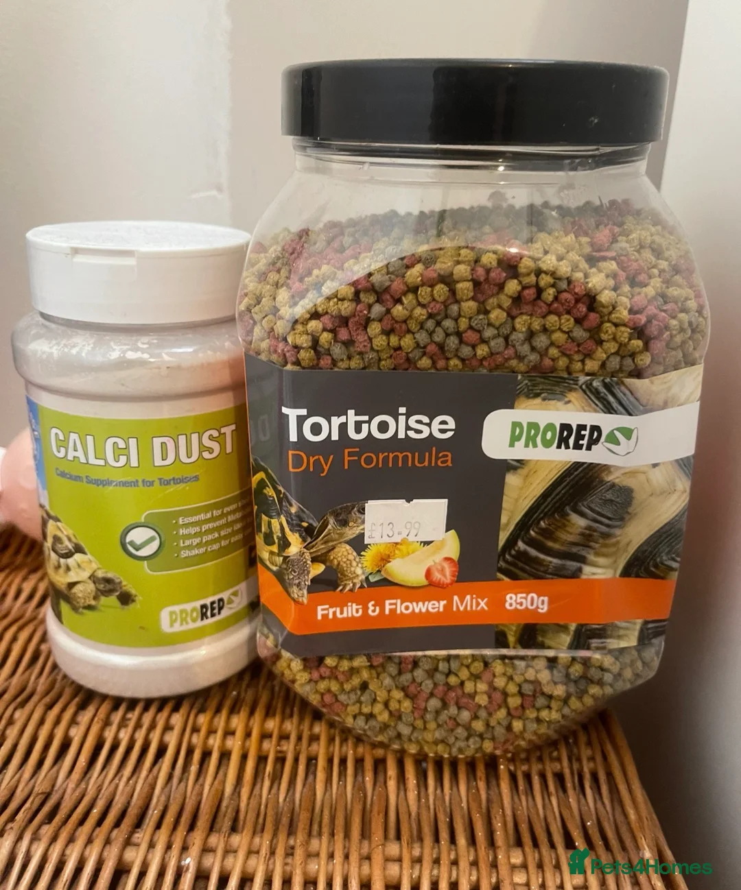 Tortoise reptiles for sale: Horsefield tortoise with pellets+calcium powder - Advert 2