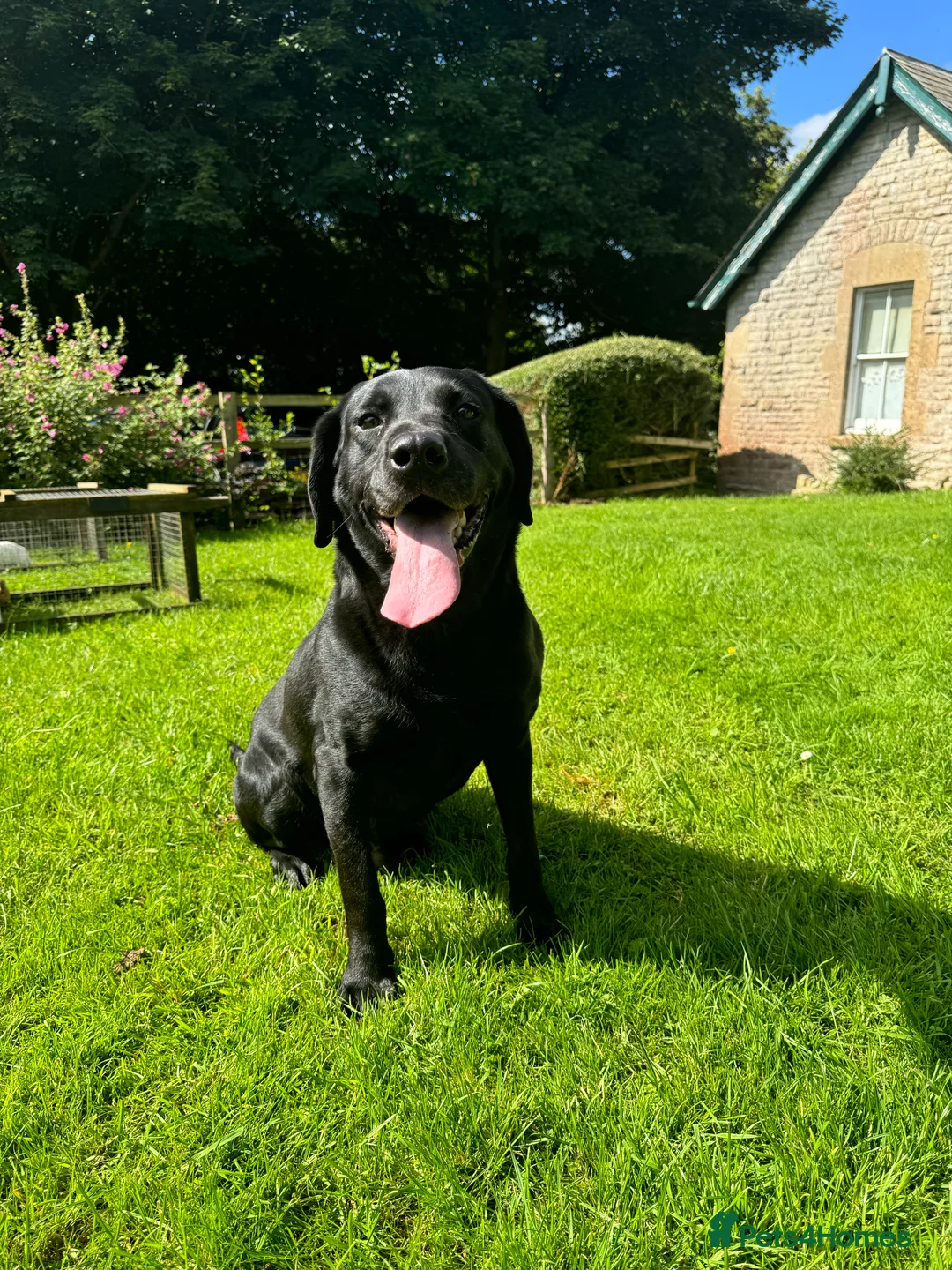 Gallery Image {{count}}