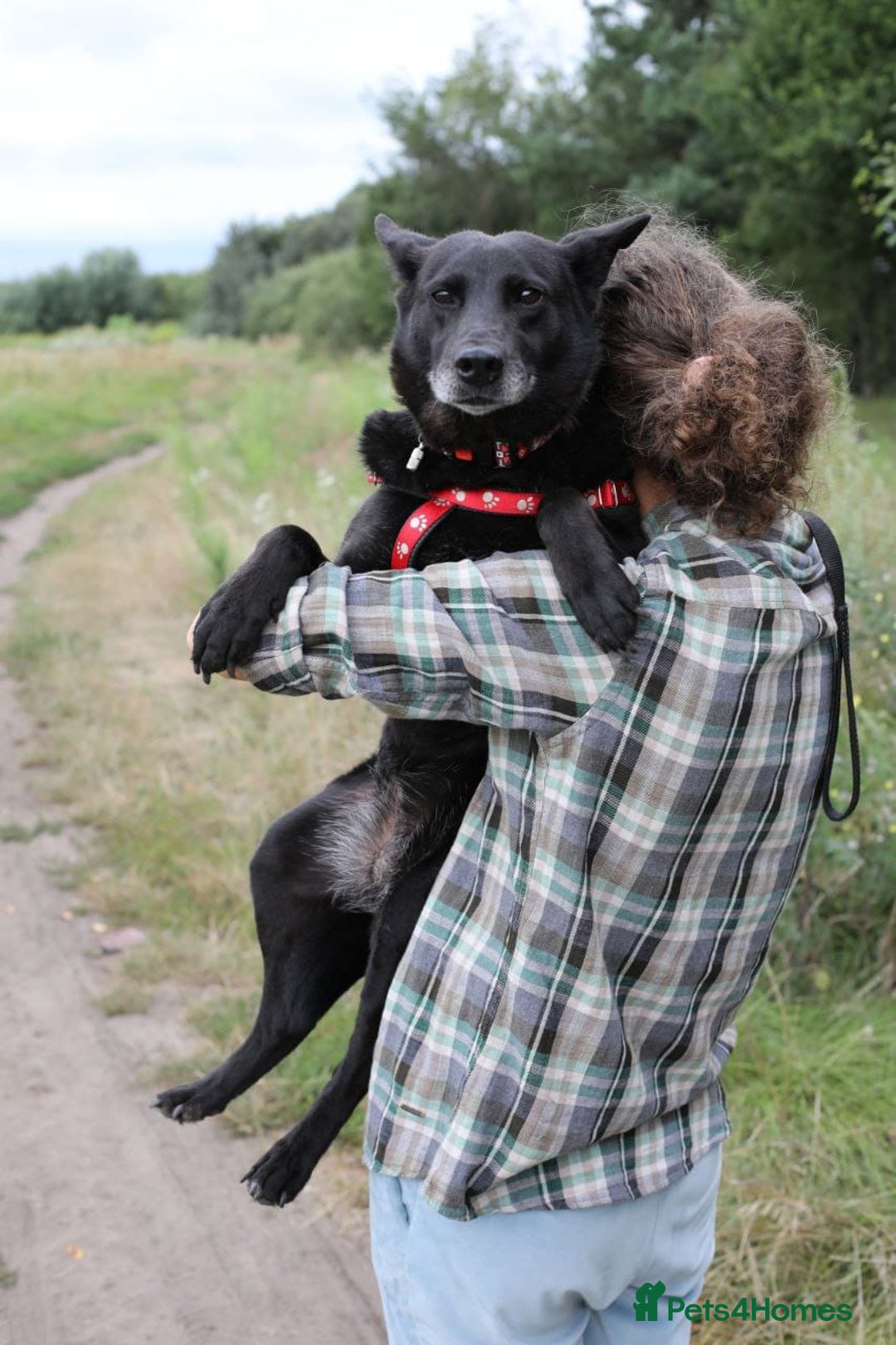 Mixed Breed dogs for adoption: 💖🐶 MARY 🐶💖 - Image 5