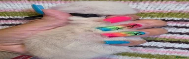 Colourpointed - black collar