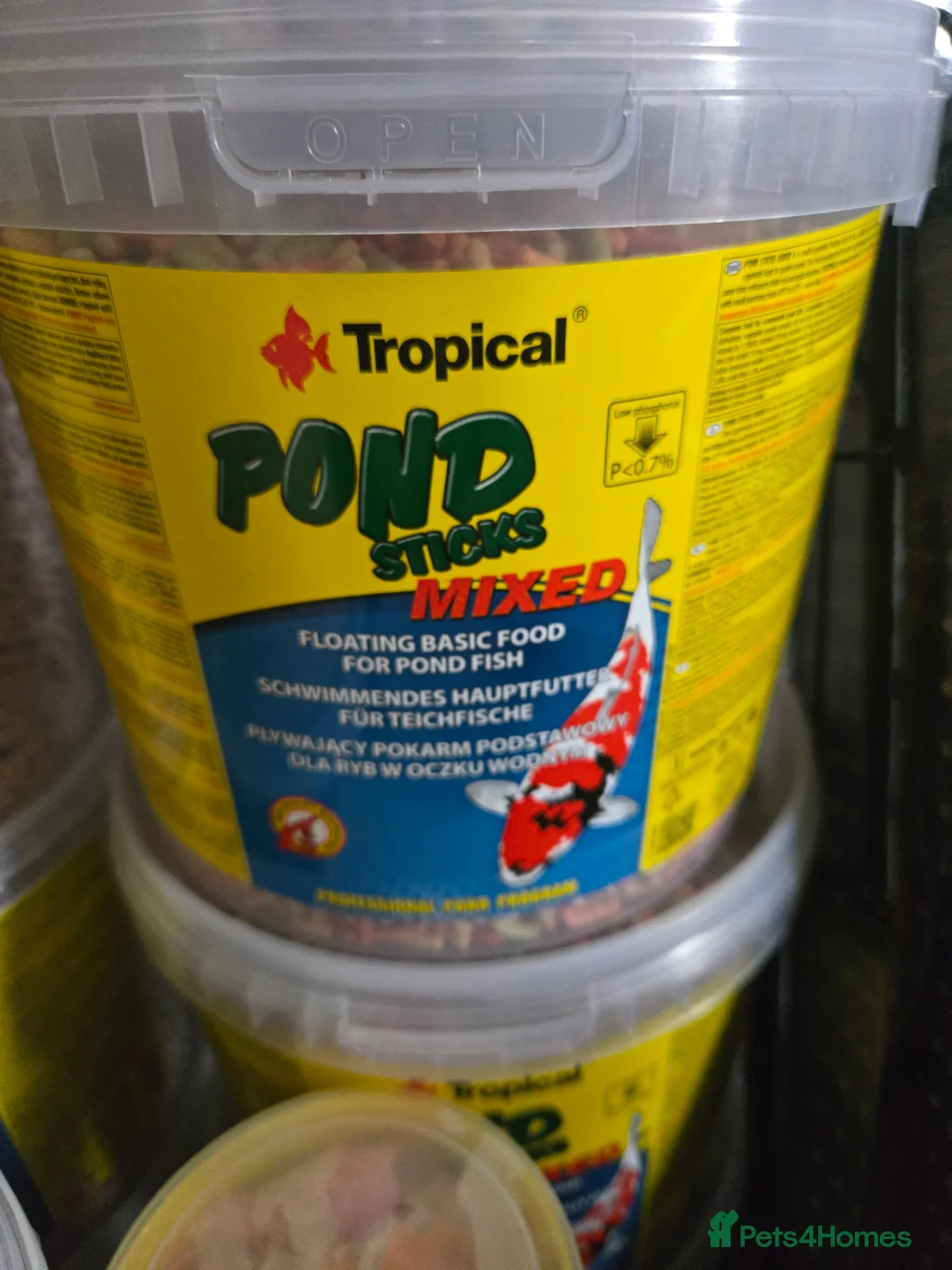 Pond Fish fish for sale: Pond sticks and sturgeon foods - Advert 1