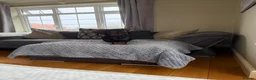 Dachshund dogs for sale: Standard Female Dachshund   - Advert 4