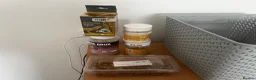 Leopard Gecko reptiles for sale: Leopard gecko and full set up including vivarium. - Advert 10