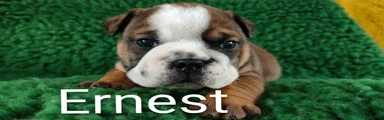 Ernest