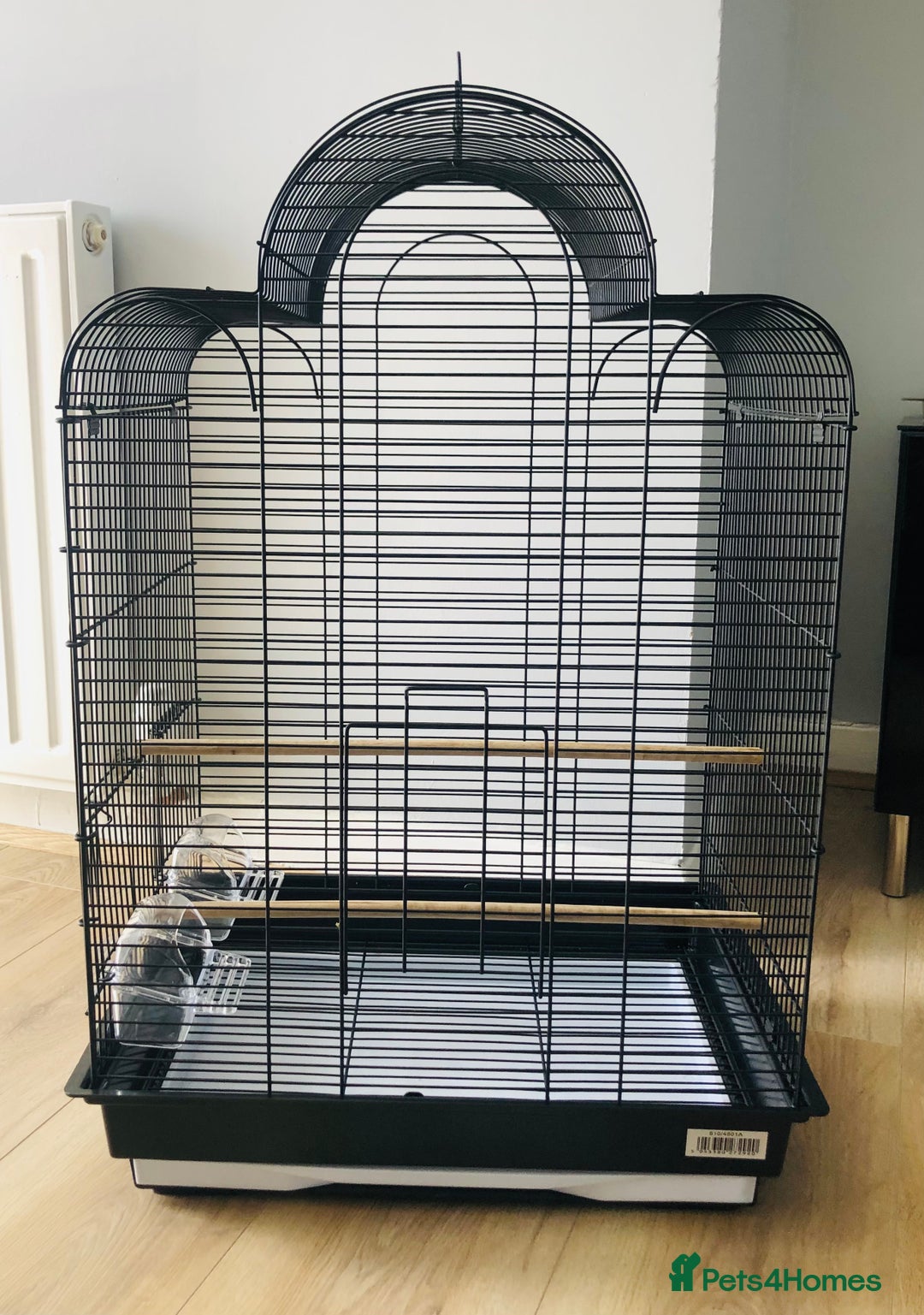 Canaries birds for sale: Beautiful young cockatiels for sale. - Advert 10