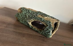 Leopard Gecko reptiles for sale: Male leopard gecko and all equipment  - Image 16