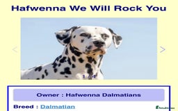 Dalmatian dogs for sale: Stunning Dalmatian puppies KC reg show winners - Image 9