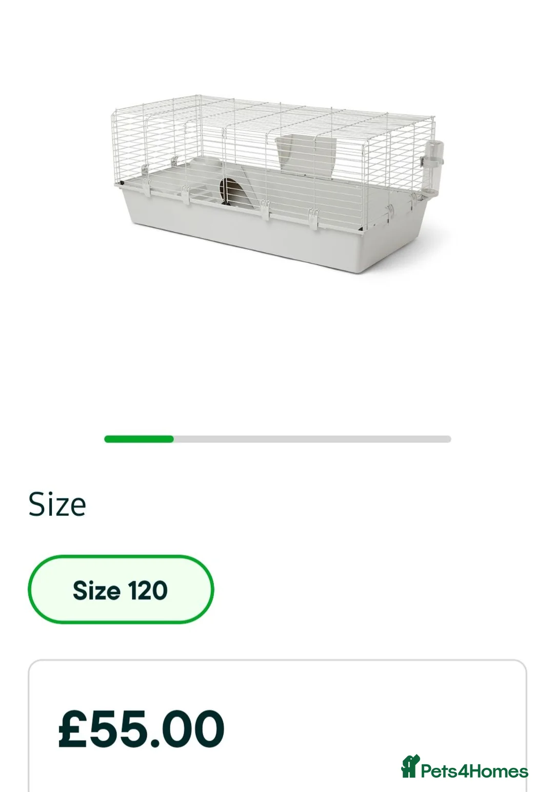 Guinea Pig rodents for sale: Pair of Female Guinea Pigs - with cage - Advert 6
