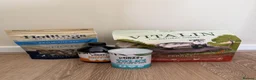 Ferret rodents for sale: Ferret + Cage + Food - Advert 3