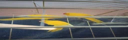 Parrots birds for sale: For sale  in Worksop - Advert 2