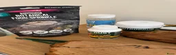 Bearded Dragon reptiles for sale: Vivarium for sale  in London - Advert 4