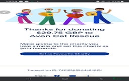 Bengal cats for sale: Cuddly charity donation pay monthly - Image 14