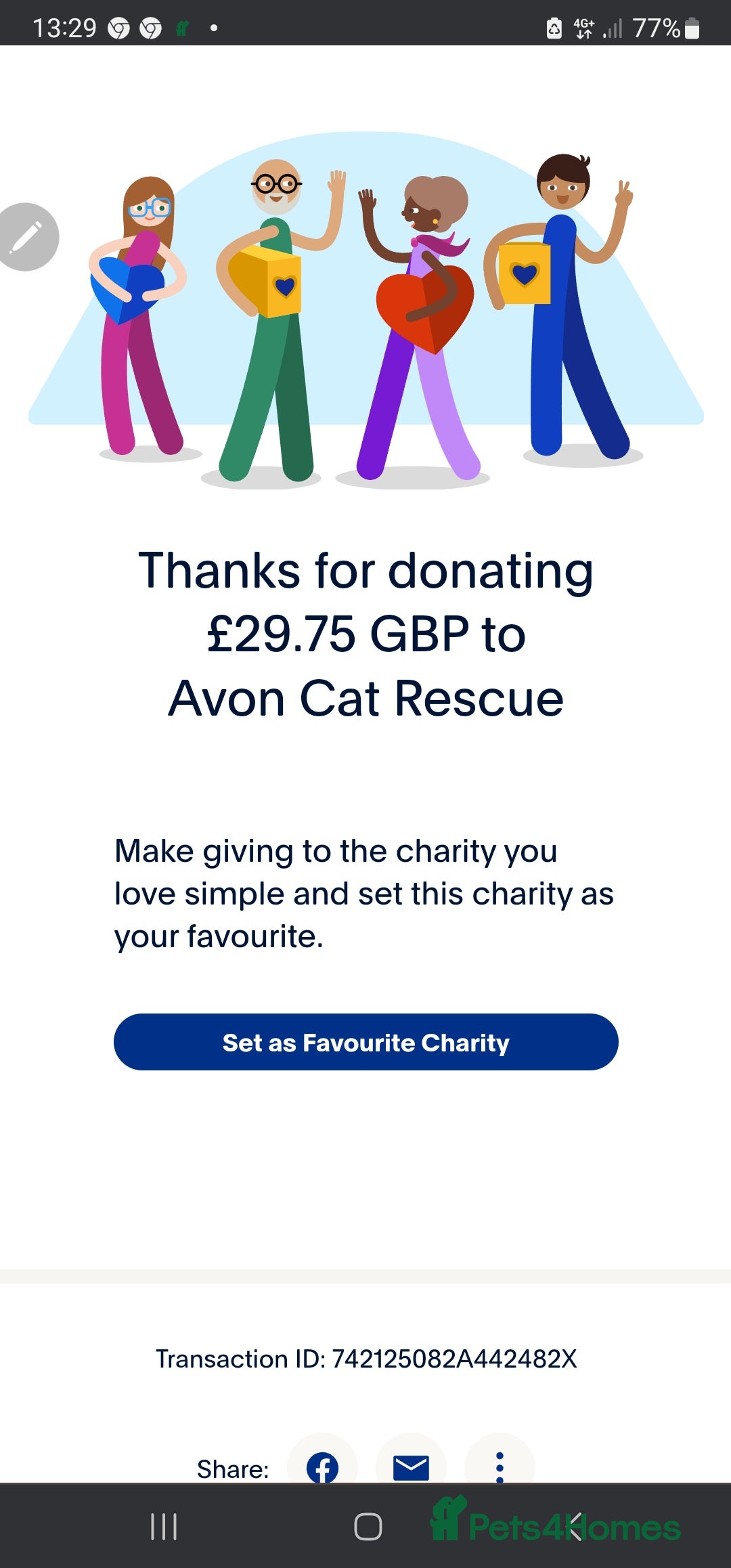 Bengal cats for sale: Cuddly charity donation pay monthly - Image 14