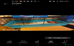 Hamster rodents for sale:  🐹 Dwarf hamster 🐹 - Image 1