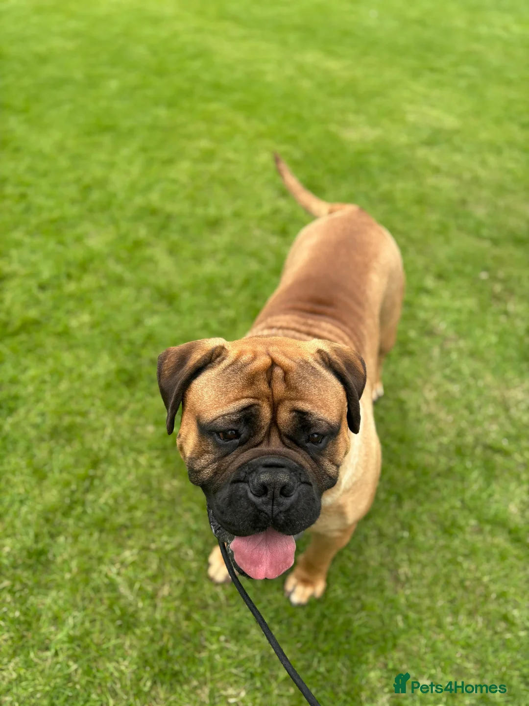 Gallery Image {{count}}