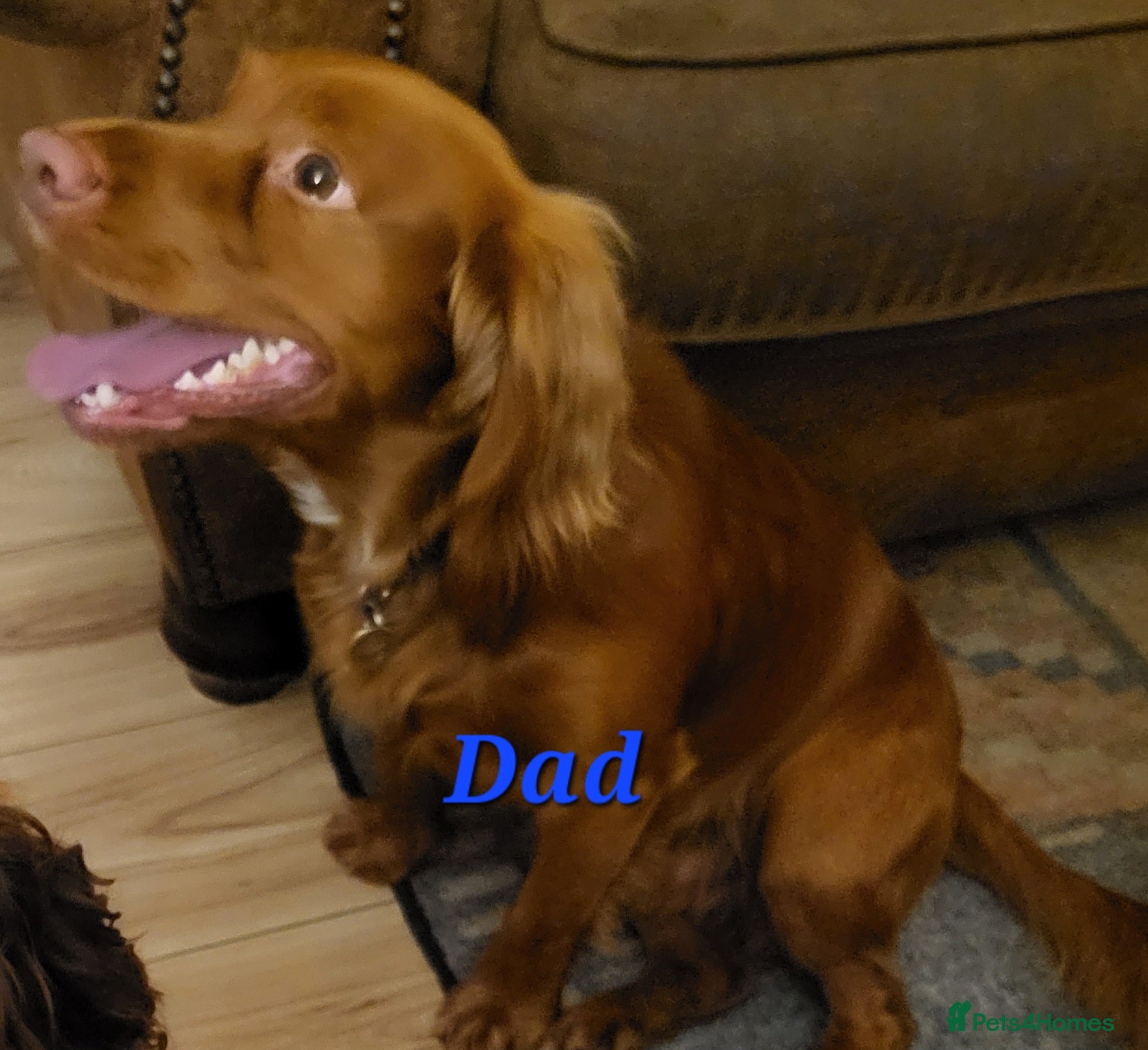 Oscar 