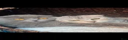 Scottish Fold cats for sale: 3 beautiful Scottish fold kittens for sale  - Advert 3