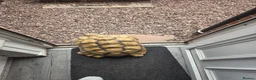 Turtle reptiles for sale: Huge tortoise for sale - Advert 3