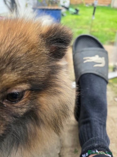 Gallery Image {{count}}