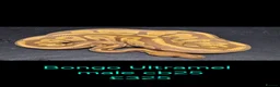 Python Snake reptiles for sale: Variety of Royal Pythons - Advert 3