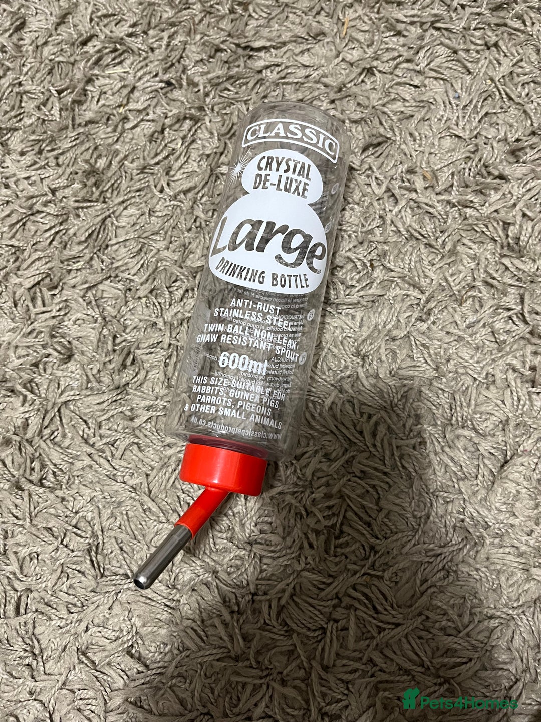 Mini Lop rabbits for sale: Needs rehoming!! - Advert 10