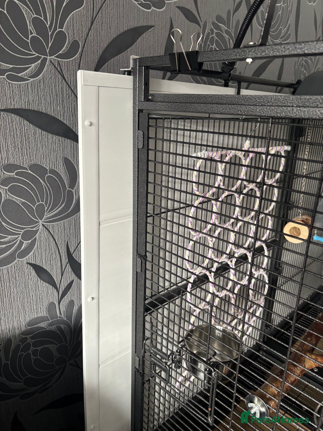 Parrots birds for sale: Large Parrot Cage - Image 13