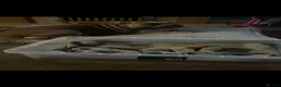 American Bully dogs for sale: American pocket bully’s  - Advert 1