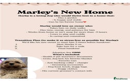 Cavapoo dogs for sale: RESERVED: Loving Toy-Cavapoo needs new home - Image 4