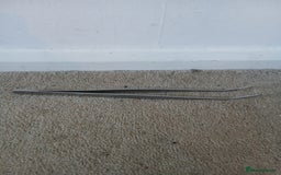 Bearded Dragon reptiles for sale: Bearded Dragon and full set up - Advert 9