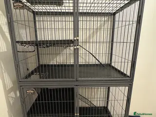 Ferret rodents Ferret Nation Cage - Advert 6