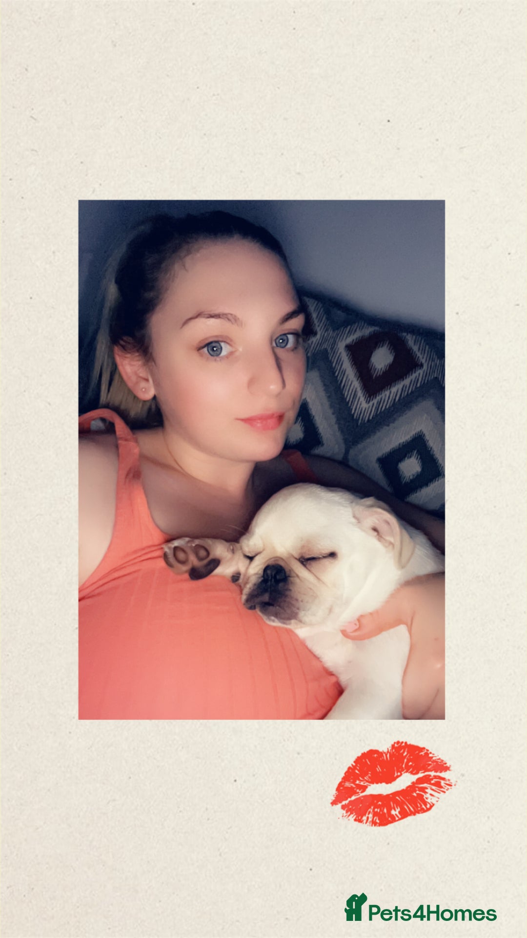 Pug dogs for sale: Rehoming our beautiful girl Bella :(  - Image 7