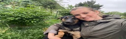 Mixed Breed dogs for adoption: ❤️🐶 GINA – GENTLE PEOPLE, PLAYFUL DOGS in Burton-on-Trent - Advert 2