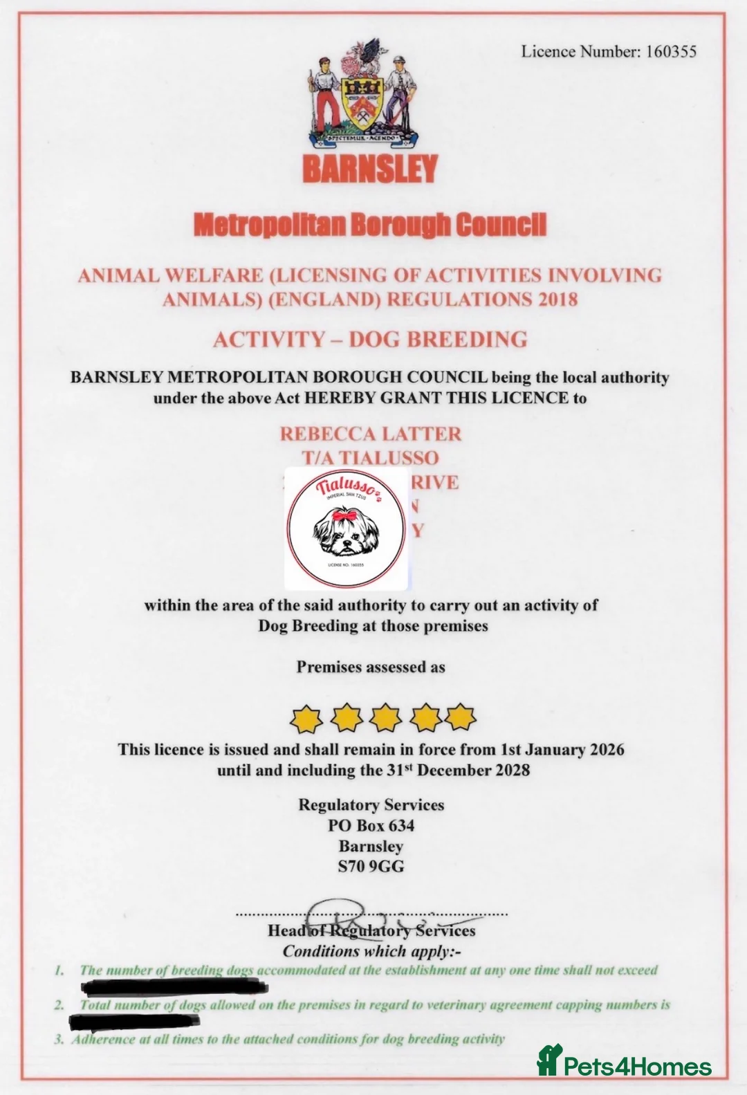 Shih Tzu dogs for sale: Tialusso Imperial Shih Tzus 5 🌟 licensed breeder  - Advert 2