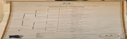 Pointer dogs for sale: ENGLISH POINTERS in Huntly - Advert 4