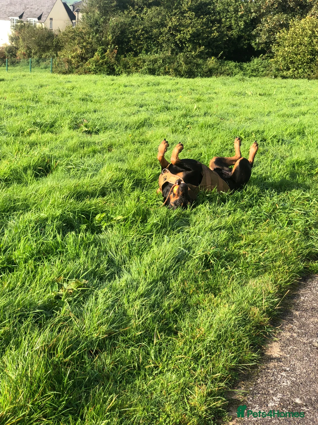 Gallery Image {{count}}