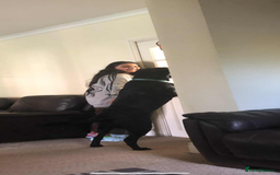 Labrador Retriever dogs for stud: Prince  - Image 2